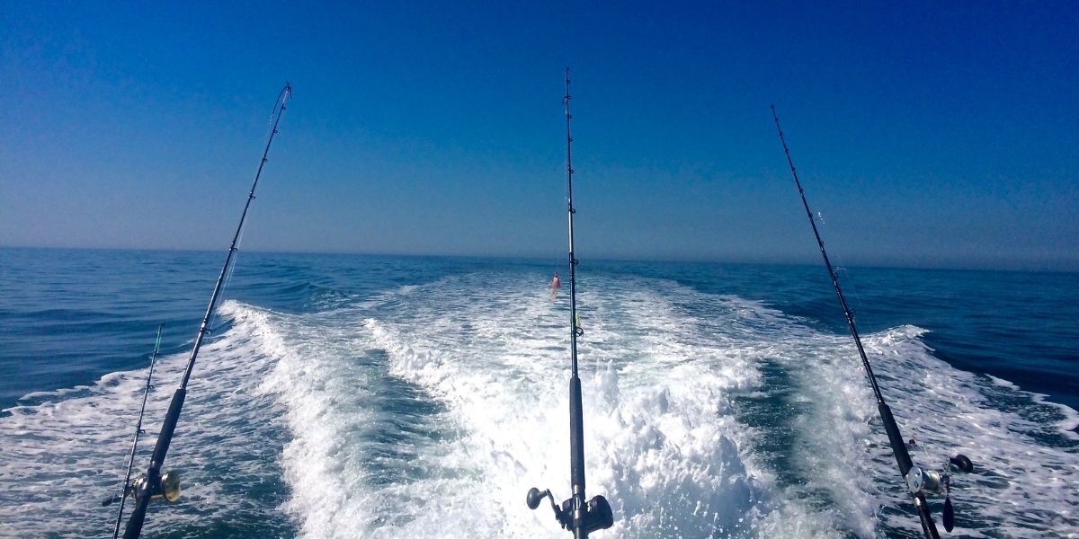 three fishing rods off the back of a boat in motion